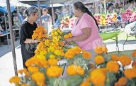 Inicia expedición de permisos para ventas en panteones