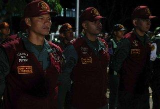 Padrino: estamos haciendo todo para preservar la soberanía de la patria