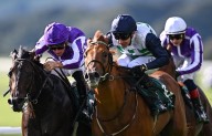 Zavateri can offer World Pool punters Grande value
