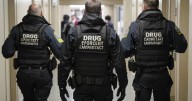 ¿Quiénes son los narcos en EU? Estos son los cárteles de drogas que operan dentro del país