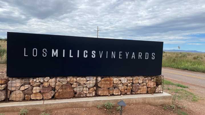 Los Milics Vineyards in southern Arizona sets new standard for region