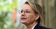 Ley reveals tax cuts, backflips on unpopular policies