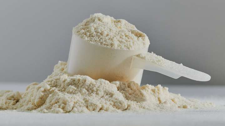 Informe revela altos niveles de plomo en proteínas en polvo y batidos