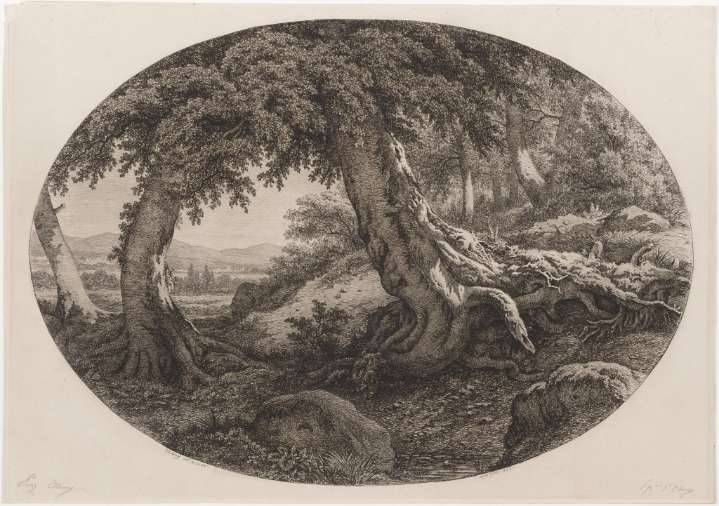 3 Baltimore Museum of Art shows highlight environmental concerns this fall
