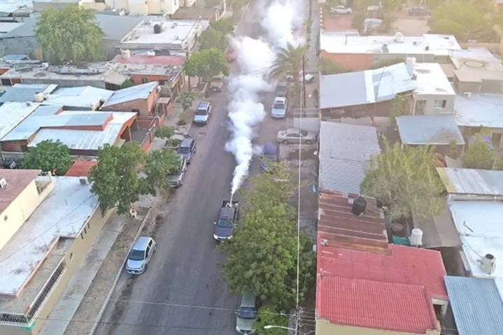 Fortalecen acciones contra el dengue en Baja California Sur