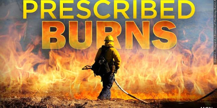 Prescribed fires planned for Mark Twain National Forest in Nov.