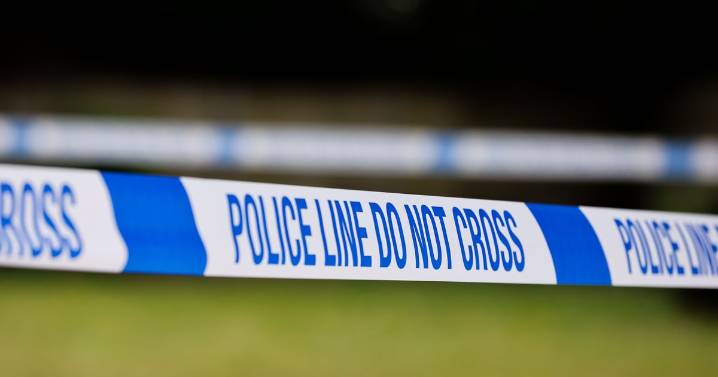 Man, 44, stabbed to death in North London in broad daylight named for first time