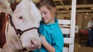 Cleveland County Fair highlights its agricultural roots