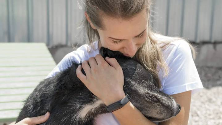 ¡Adopta una mascota!: 120 corazones buscan un hogar, ¿conoces el Catálogo de Adoptables?