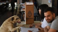 De cuánto es el piso electoral que debe sacar cada fuerza política en La Pampa para entrar al reparto de bancas
