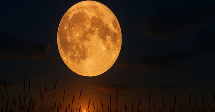 Luna de la Cosecha 2025: ¿A qué hora se podrá ver la primera superluna del año en México?