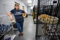 Feline Community Network offers cats a second chance