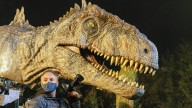 10 Largest Dinosaurs in the 'Jurassic Park' and 'Jurassic World' Movies, Measured in Feet
