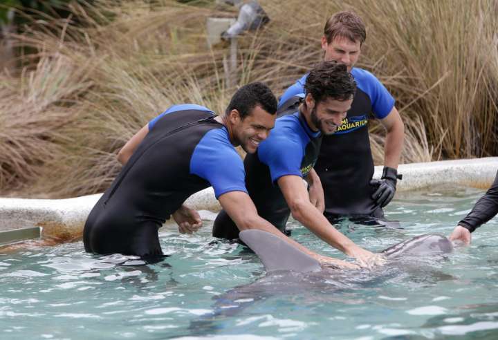 Cherished Miami Seaquarium closes it doors