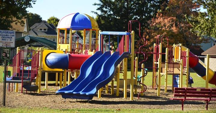City may hire firm to install inclusive playground at Austin Park