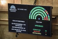 Cayeron en el Senado los vetos a la Ley del Garrahan y el Financiamiento Universitario