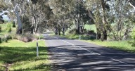 Investigation launched after driver injured in late