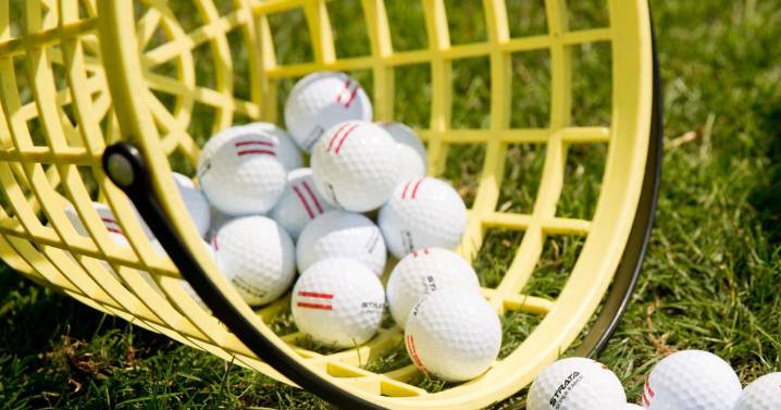 Greensboro NCHSAA girls golf state championship results