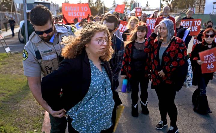 Trial of a California woman who stole chickens puts slaughter houses in national spotlight