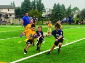 Beaumont Bears roar through remarkable season
