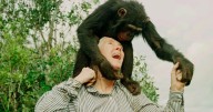 Jane Goodall, the conservationist renowned for chimpanzee research and environmental advocacy, has died