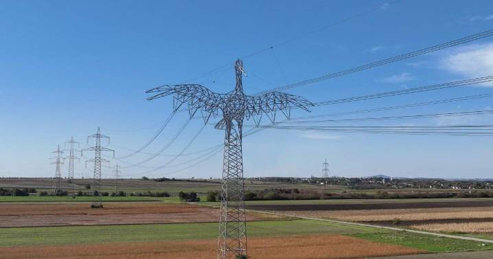 Austria se suma al diseño de líneas de alta tensión con forma de animales