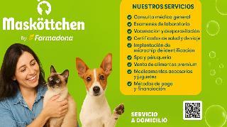 Masköttchen: la historia de un lugar donde las mascotas recuperan su alegría