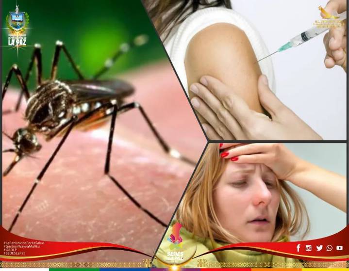 Argentina refuerza controles y vacunas frente al brote de fiebre amarilla en la región