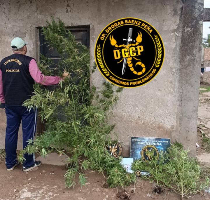 Secuestraron plantas de marihuana en el barrio Ginéz Benítez