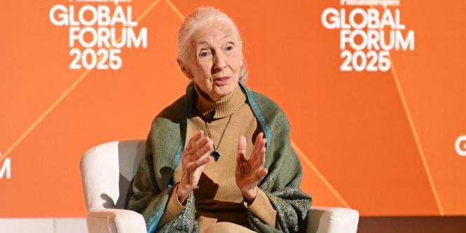¿Quién fue Jane Goodall, 'la mayor experta mundial en chimpancés' de la historia?