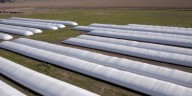 El silobolsa, una innovación argentina que cambió la forma de guardar granos