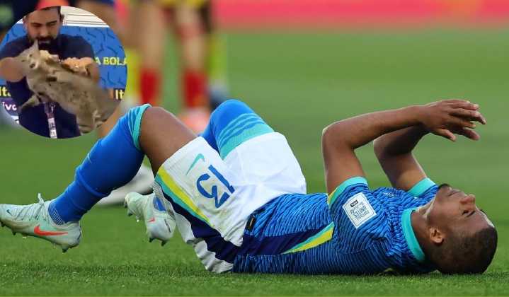¡Más viva que nunca! Eliminación de Brasil del Mundial Sub-20 continua con la “maldición del gato” de la Canarinha