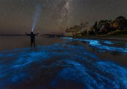 ¿Dónde ver olas brillantes? Las 7 playas más impresionantes del mundo para observar la bioluminiscencia