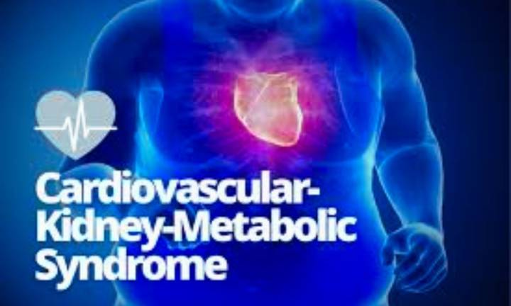 Childhood to Adulthood BMI Shift Linked to Midlife Cardiovascular, Kidney, and Metabolic Risks:...