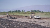 Por la rentabilidad, viñateros sanjuaninos pedirán créditos para pasarse a la pasa de uva