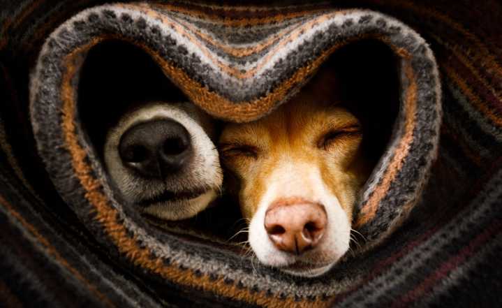 The 30 Coziest Places To Live In New York