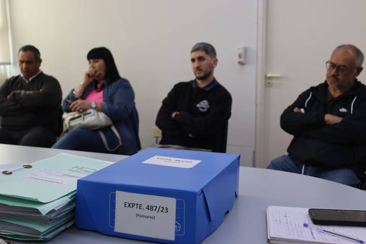 En el HCD se expusieron todas las «inconsistencias» detrás del proyecto Los Palmares