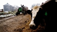 Southwest Minnesota farmers talk about this year's crops