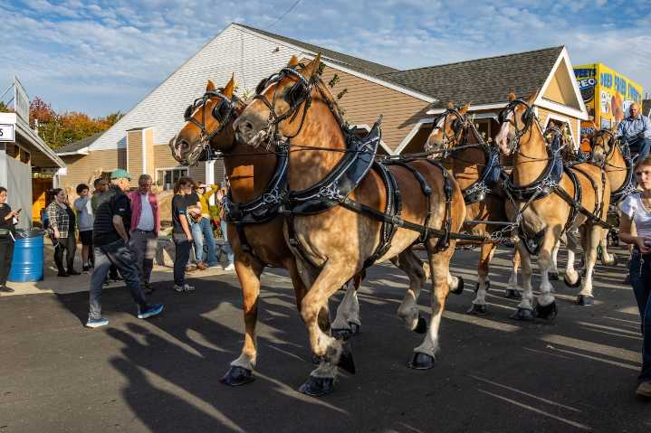 Topsfield Fair 2025: What to know before you go from concerts to Clydesdales