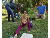 TD Tree Days plants roots at Gray's Creek Conservation Area near Cornwall