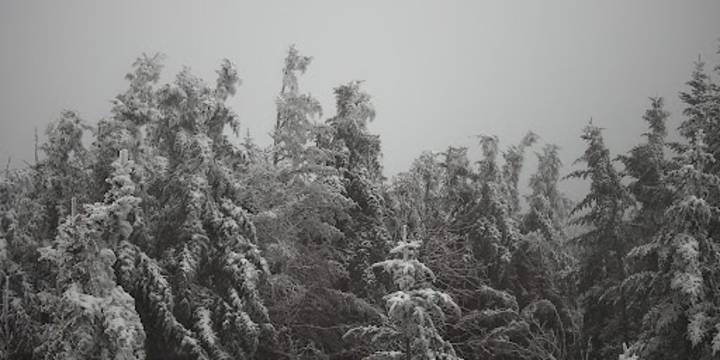 First snow of season falls in North Carolina's mountains