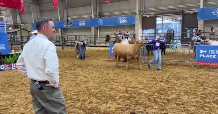 Teen says State Fair of Texas Livestock Show teaches life skills, lessons