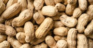 Study: early introduction of peanuts prevented allergies