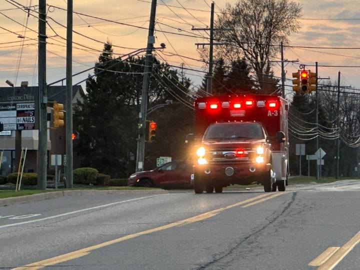 21 dogs, including puppies, killed after outbuilding catches fire in west Michigan