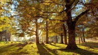 La increíble ruta de senderismo de Castilla y León entre gargantas y bosques dorados: "20 kilómetros de belleza"