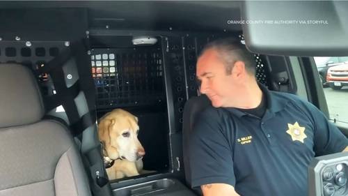 Orange County Fire Authority honors retirement of K-9 Freedom in emotional radio call, video shows