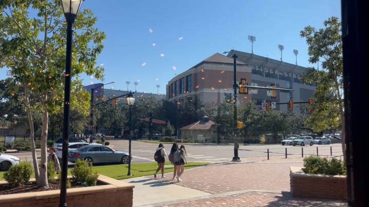 LSU fans hopeful for football future after coaching changes
