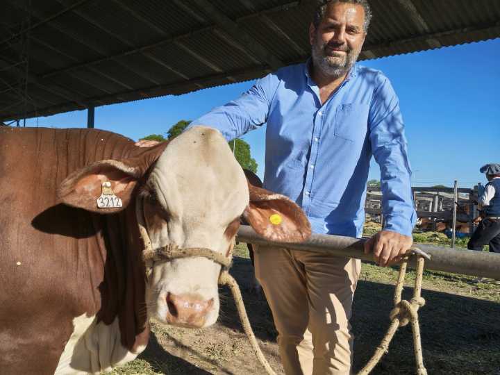 "Es un animal que puede producir carne en toda la Argentina"