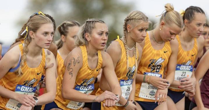 MSU Billings cross country teams finish ninth, 10th in GNAC Championships
