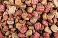 2,500 pounds of dog food donated to Upstate organization